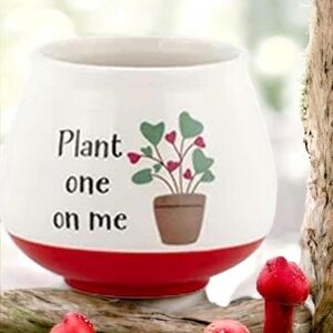 Plant one on me ceramic planter